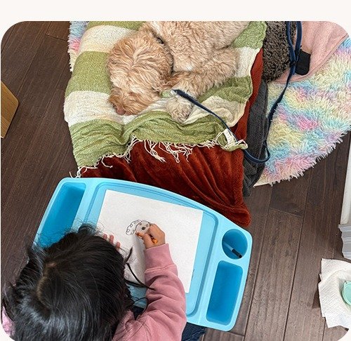 Child learning with Cippi nearby